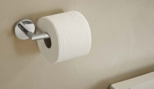 Държач за тоалетна хартия без капак Hotels 2.0 Round, хром Roca