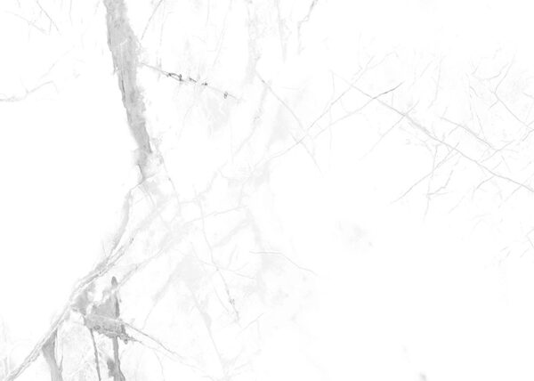 Стенен панел SPC Calacatta Snow 30x60 Vilo