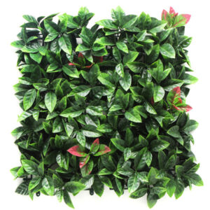 Изкуствена зелена декорация пано 50x50cm CCGA008 Photinia