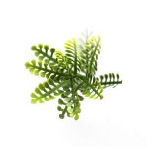 Изкуствена зелена декорация пано 50x50cm Mimosa CCGA030